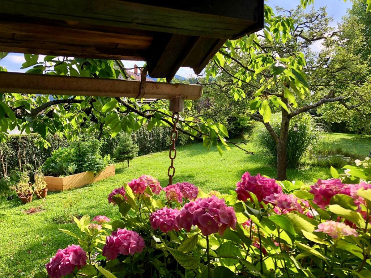 Home Apartments & Yoga Studio Bled-Recica Εξωτερικό φωτογραφία